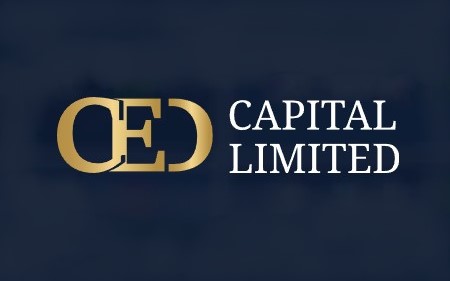 CAPartners - exposition. How to return an investment?